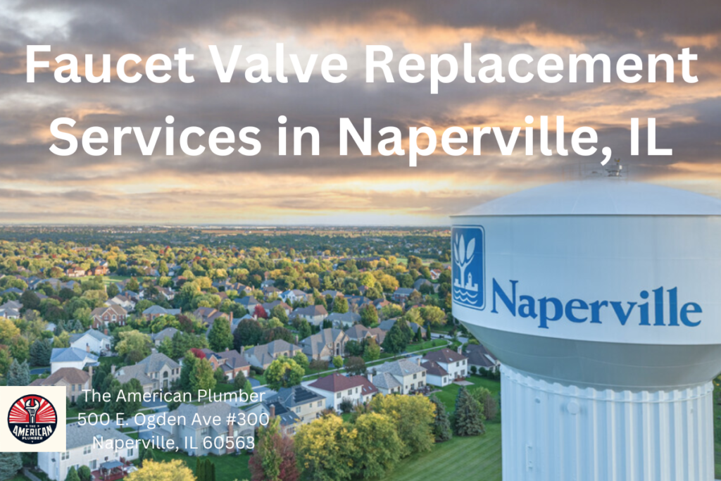 Faucet Valve Replacement Services in Naperville IL