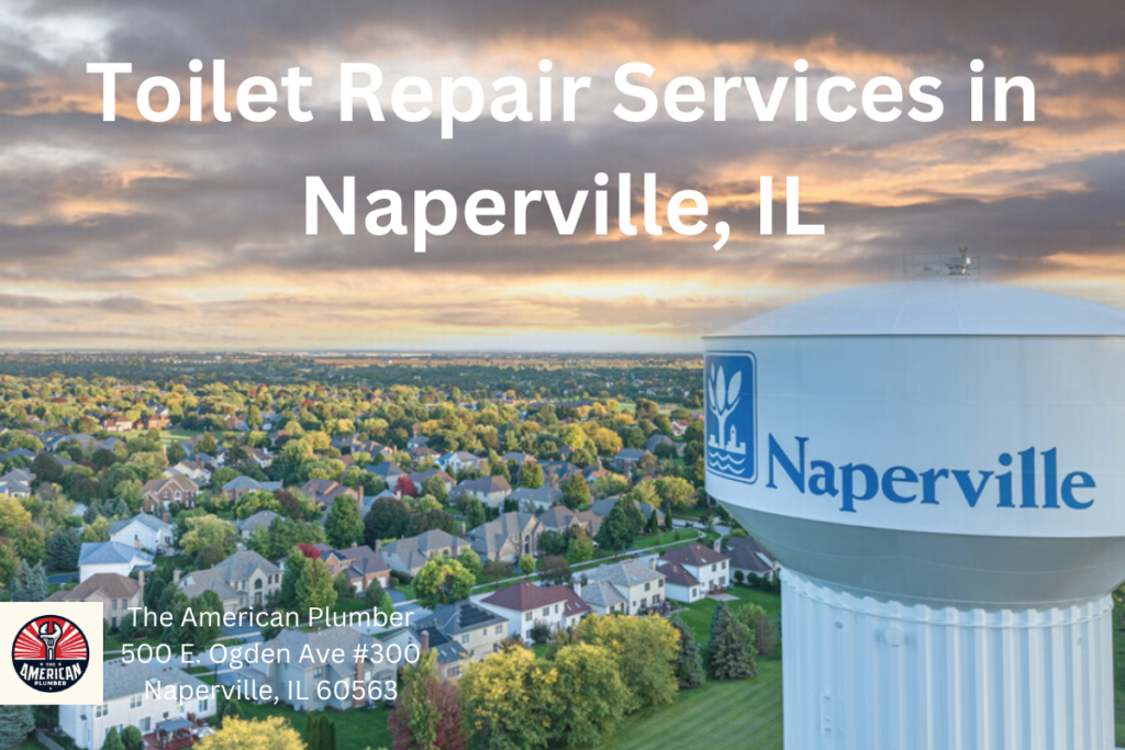 Toilet Repair Services in Naperville IL