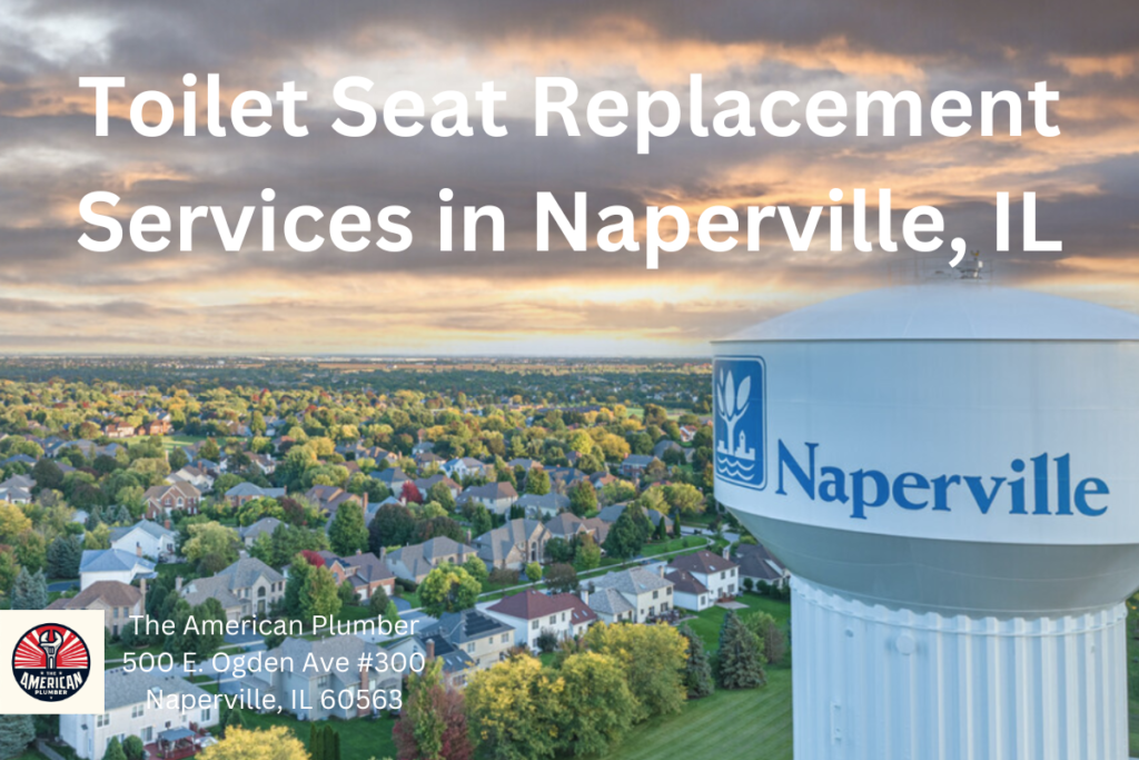 Toilet Seat Replacement Services in Naperville IL
